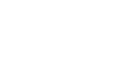 Infraestruturas de Portugal logo